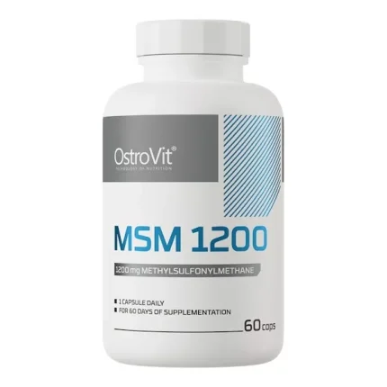 msm.webp